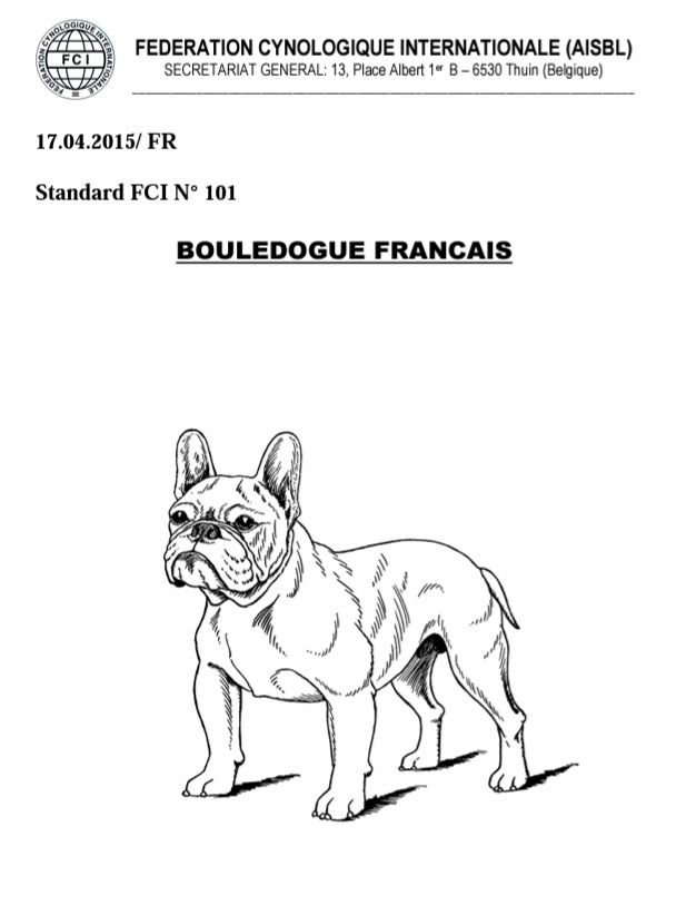 Tête D'un Chien Marron De Bouledogue Français Avec Le Masque Et Le