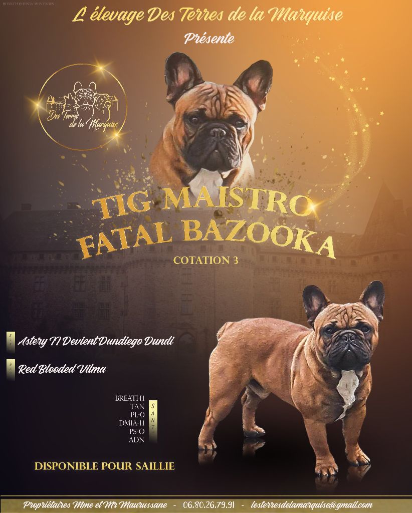 tig maistro Fatal bazooka