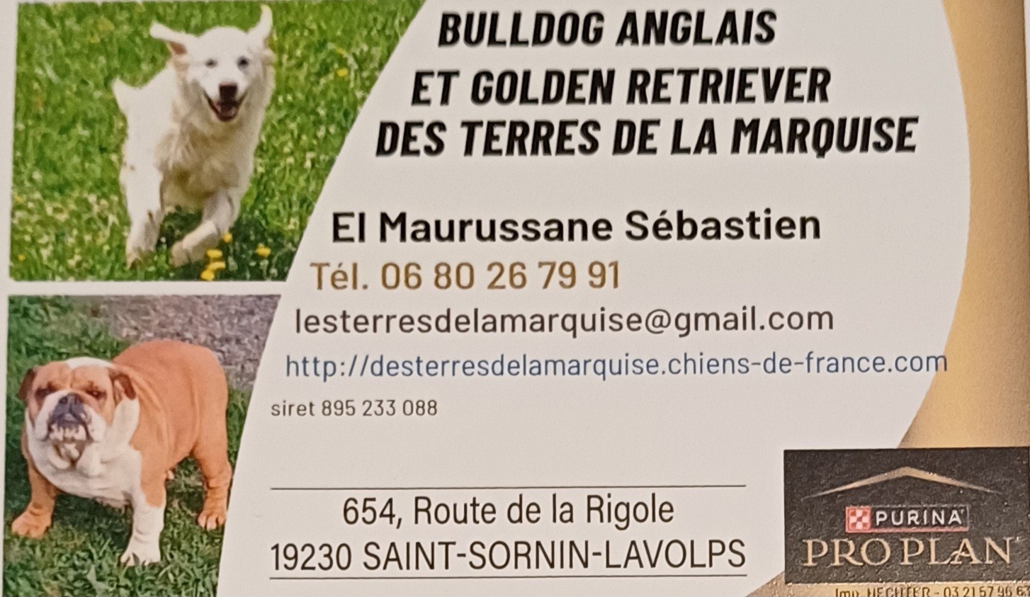 Des Terres De La Marquise